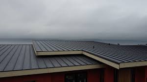 Best Roof Maintenance and Cleaning  in Masonville, KY